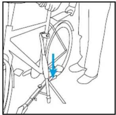 Twinny Load Ergo FE - Placing of bicycles - 2