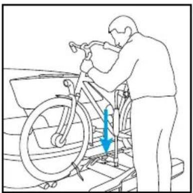Twinny Load Ergo FE - Placing of bicycles - 7