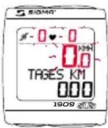 SIGMA BC 191 HR - DIE SYNCHRONISIERUNG - 1