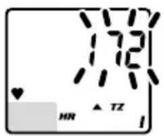 Vetta V100HR - SETUP: AGE, MAXIMUM HEART RATE & HR TARGET ZONE - 3