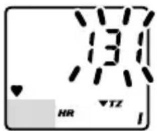 Vetta V100HR - SETUP: AGE, MAXIMUM HEART RATE & HR TARGET ZONE - 4