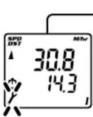 Vetta V100 WL2X - MAXIMUM &amp; MINIMUM TEMPERATURE - 1