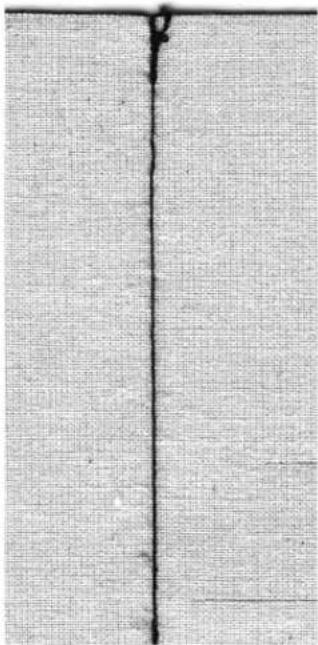 BERNINA Artista 165 - Seaming - 1