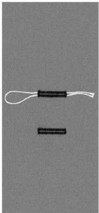 BERNINA Artista 165 - Suitable cords: - 1