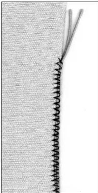 BERNINA Artista 165 - Sewing - 1
