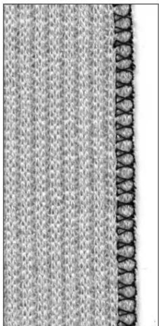 BERNINA Artista 165 - Sewing - 1