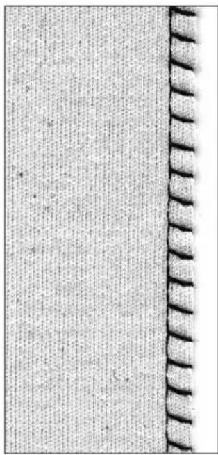 BERNINA Artista 165 - Sewing - 1