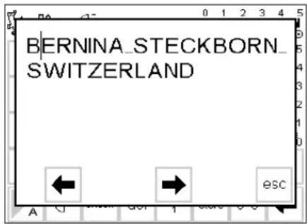 BERNINA Artista 165 - View memory contents - 1