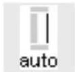 BERNINA Artista 165 - Automatic buttonhole - 2