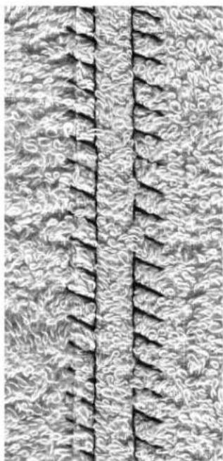 BERNINA Artista 165 - Sewing - 1