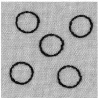 BERNINA Artista 165 - Straight Stitch Eyelets - 2