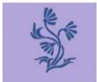 BERNINA Artista 200 - Borduren - 2