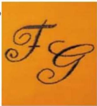 Fg
