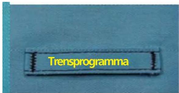 Trensprogramma