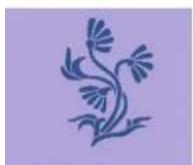 BERNINA Artista 200 - Borduren - 2