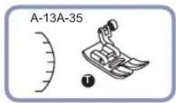 Carina Evolution - - Scallopedging - 1