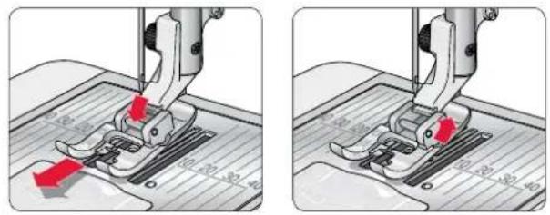 HUSQVARNA Eden Rose 250C - Zwaardnaalden (D) - 1