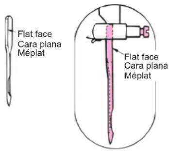 Flat face Cara plana Méplat Flat face Cara plana Méplat