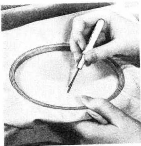 PFAFF 1213 - Eyelet embroidery - 2