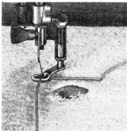 PFAFF 1214 - Darning with wool thread - 3