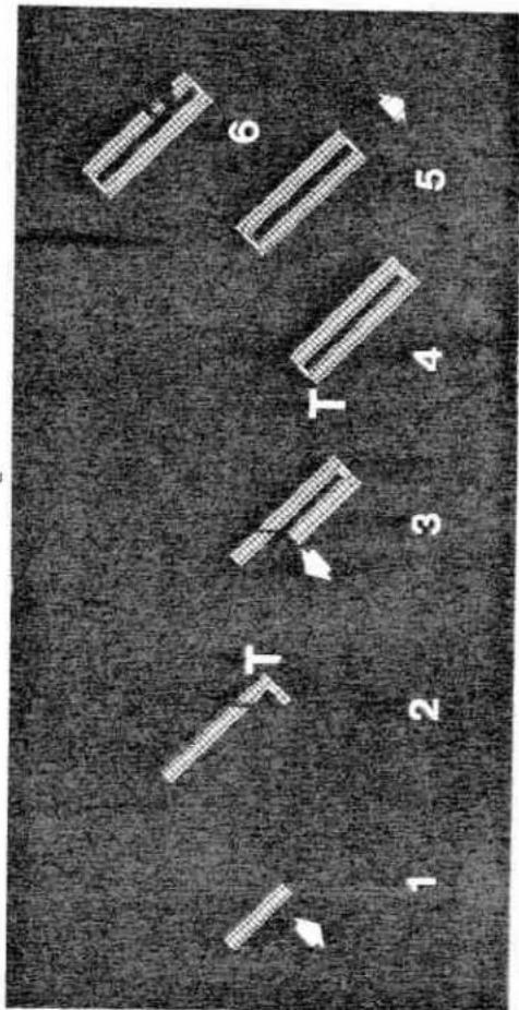 PFAFF 1221 - Sewing buttonholes - 8
