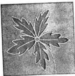 PFAFF 130-6 - Applique work - 2