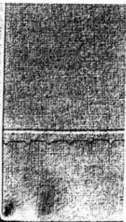 PFAFF 297-1 - Shell-edge stitch - 8