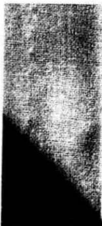 PFAFF 297-1 - Shell-edge stitch - 7