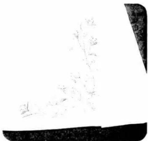 PFAFF creative 1472 - Third workstep: side motifs - 1