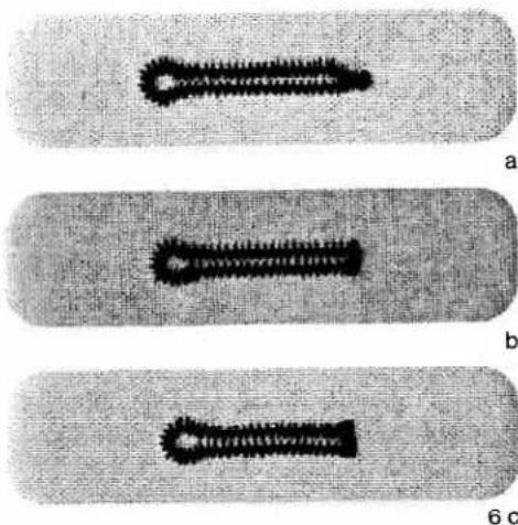 PFAFF creative 1472 - Adapting the buttonhole seam lengths with the balance keys - 1