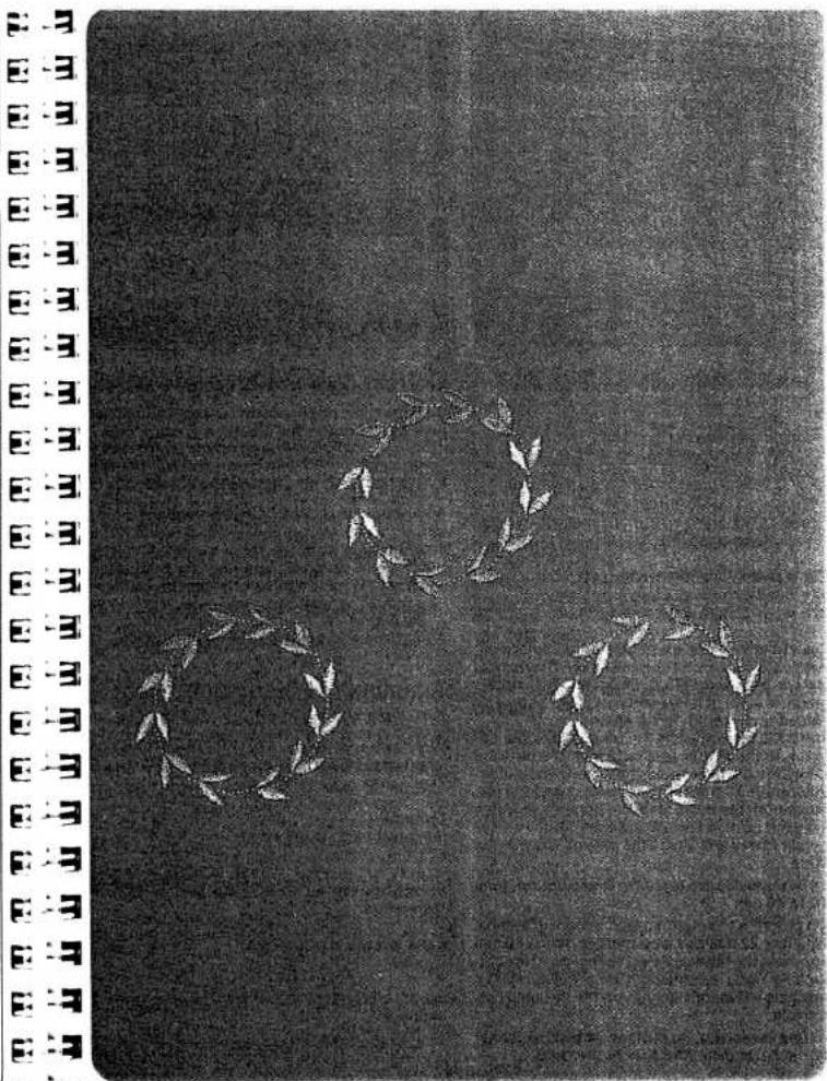 PFAFF creative 1472 - Various buttonhole bartacks - 1