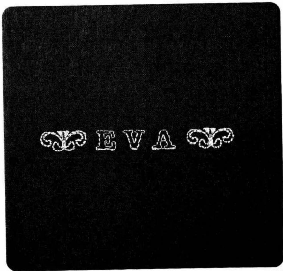 PFAFF creative 1472 - Programming names with embroidery stitches - 1
