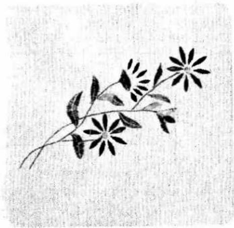 PFAFF creative 1472 - Embroidery stitch programs - 1