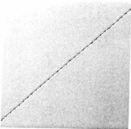 PFAFF creative 7530 - Stretch triple straight stitch - 2