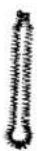PFAFF creative 7530 - Blouse buttonhole No. 38 - 1