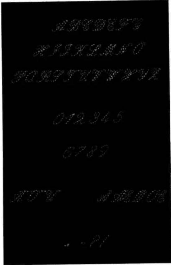 PFAFF creative 7510 - Leather embroidery - 2