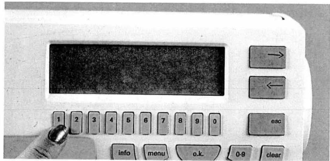 PFAFF creative 7550 - RAM - 1
