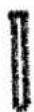 PFAFF creative 7570 - Blouse buttonhole No. 38 with - 1