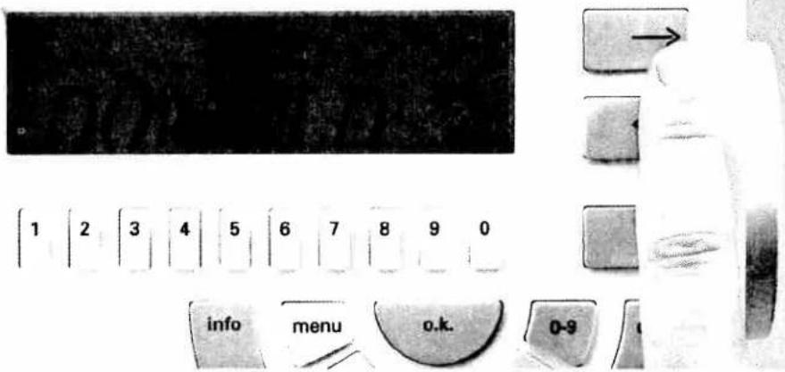 PFAFF creative 7570 - Combining motifs with word sequences - 24