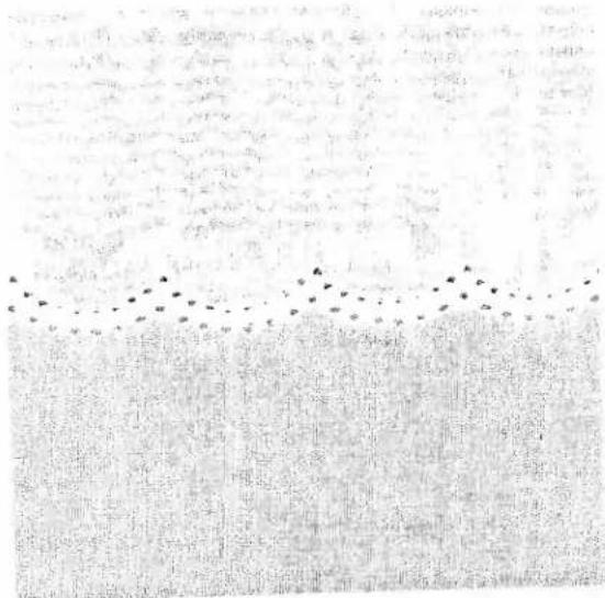 PFAFF creative 7570 - Hemstitching - 2