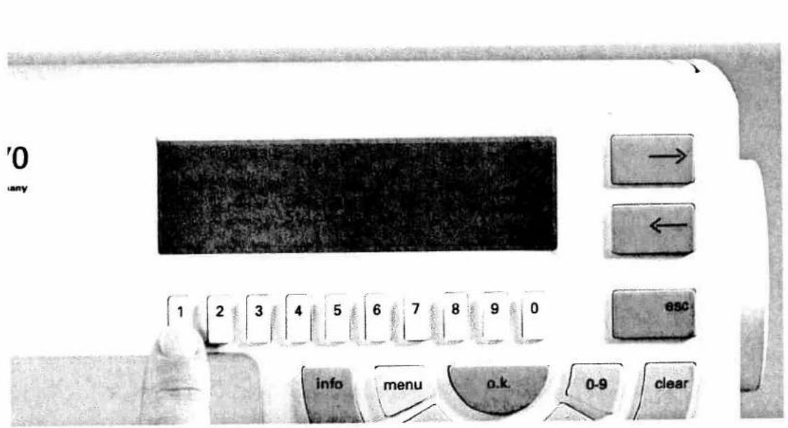 PFAFF creative 7570 - Combining motifs with word sequences - 3