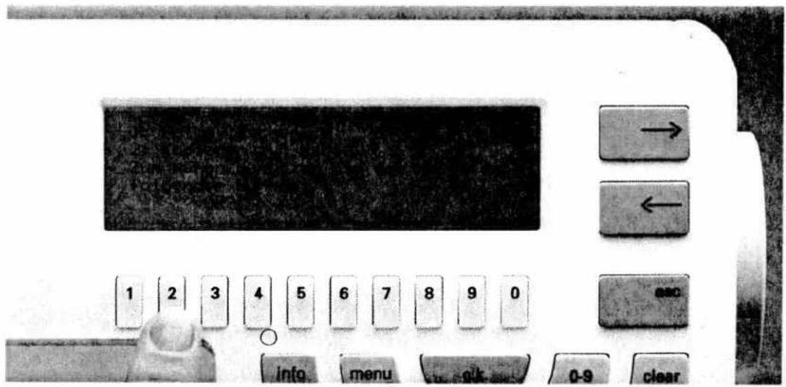 PFAFF creative 7570 - Combining motifs with word sequences - 29