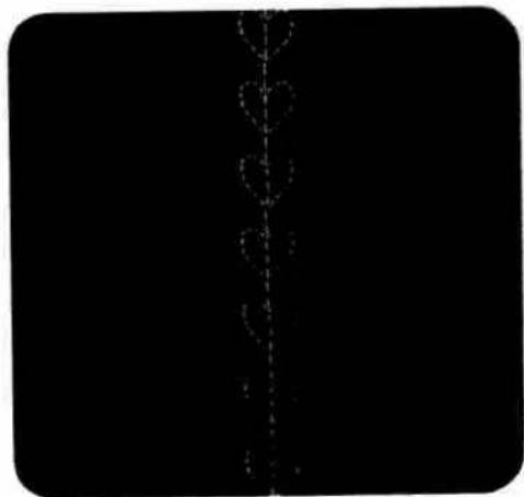 PFAFF creative designer - Change of pattern y use of lifferent spacings - 2