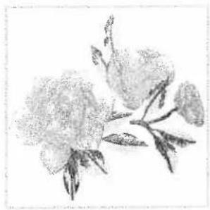 PFAFF creative grand hoop - Embroidering creative Grand Hoop designs - 4