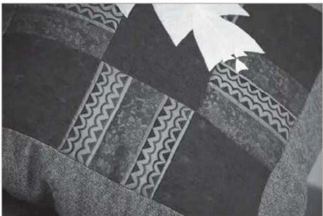 PFAFF expression 2.0 - Handlook quilting - 1