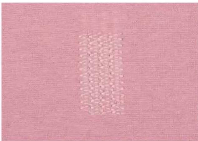 PFAFF expression 2026 - Elastic stitch - 1