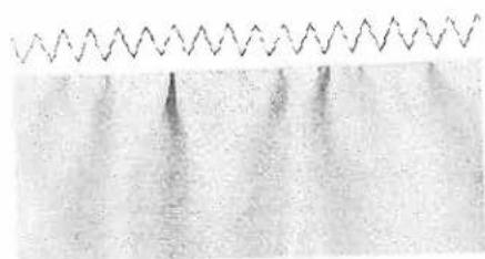 PFAFF Freestyle 1527 - Stretch triple zigzag stitch - 1