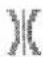 PFAFF Freestyle 1527 - Decorative stitches - 5