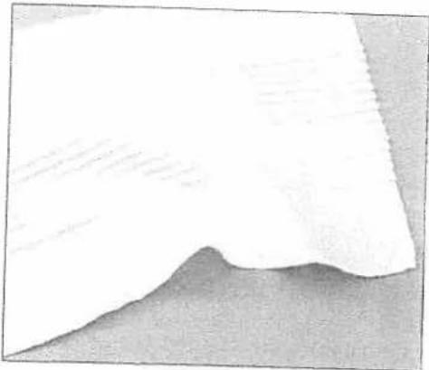 PFAFF performance 2056 - Twin needle Pintucks - 1
