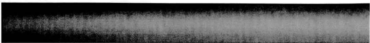 PFAFF performance 2056 - Non-stick Foot with IDT - 3